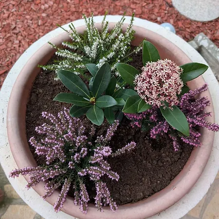 In 54058 Dom wakacyjny