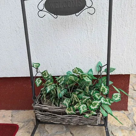 Dom wakacyjny In 54058 *