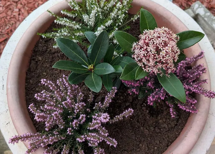 In 54058 בית נופש