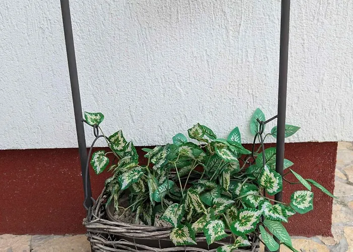 בית נופש In 54058 *